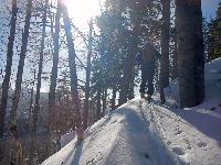 Bild 10 (93 Bildaufrufe)