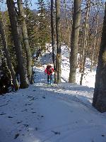 Stieglmauer (96 Bildaufrufe)