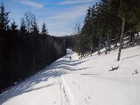 Bild 16 (105 Bildaufrufe)