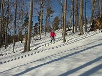 Bild 18 (99 Bildaufrufe)