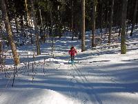 Bild 3 (103 Bildaufrufe)
