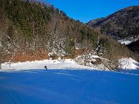 Bild 11 (113 Bildaufrufe)