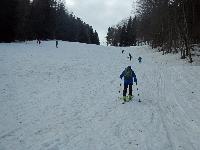 Bild 3 (97 Bildaufrufe)