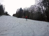 Bild 8 (125 Bildaufrufe)