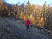 Bild 2 (106 Bildaufrufe)