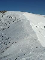Bild 7 (117 Bildaufrufe)