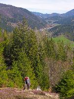Bild 4 (93 Bildaufrufe)