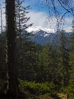 Bild 6 (85 Bildaufrufe)