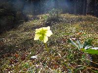 Bild 7 (91 Bildaufrufe)