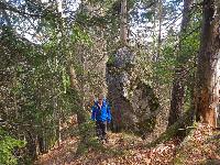 Bild 14 (110 Bildaufrufe)