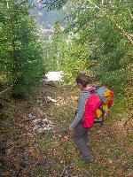 Bild 16 (88 Bildaufrufe)