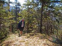 Bild 5 (134 Bildaufrufe)