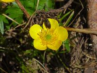 Bild 8 (99 Bildaufrufe)