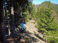 Bild 10 (116 Bildaufrufe)