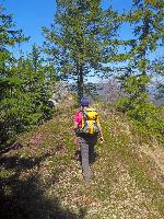 Bild 13 (105 Bildaufrufe)