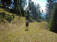 Bild 19 (111 Bildaufrufe)