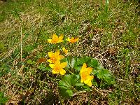 Bild 21 (99 Bildaufrufe)
