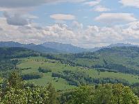 Bild 1 (111 Bildaufrufe)