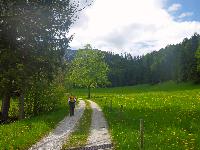 Bild 1 (88 Bildaufrufe)