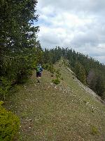 Bild 11 (100 Bildaufrufe)