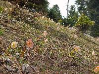 Bild 12 (93 Bildaufrufe)