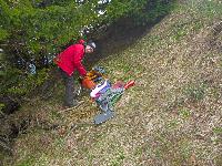 Bild 16 (98 Bildaufrufe)