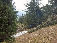 Bild 21 (78 Bildaufrufe)