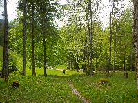 Bild 22 (109 Bildaufrufe)