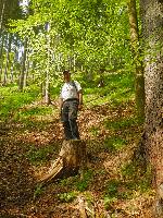 Bild 2 (94 Bildaufrufe)