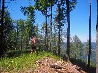 Bild 5 (92 Bildaufrufe)