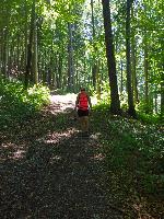 Bild 9 (69 Bildaufrufe)