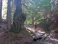 Bild 3 (120 Bildaufrufe)