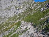 Bild 12 (175 Bildaufrufe)