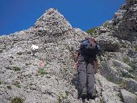 Bild 16 (122 Bildaufrufe)