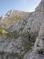 Bild 20 (168 Bildaufrufe)