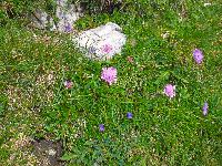 Bild 27 (110 Bildaufrufe)