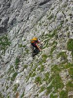 Bild 28 (121 Bildaufrufe)