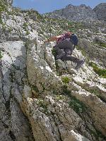 Bild 29 (148 Bildaufrufe)