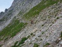Bild 33 (117 Bildaufrufe)