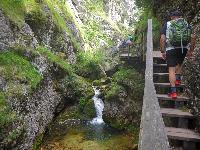 Bild 3 (116 Bildaufrufe)