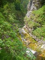 Bild 4 (115 Bildaufrufe)