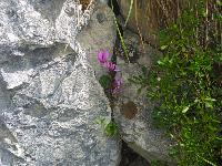 Bild 10 (134 Bildaufrufe)