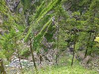 Bild 11 (99 Bildaufrufe)
