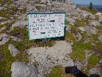 Bild 6 (107 Bildaufrufe)