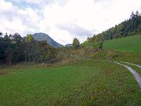 Hochgraser (88 Bildaufrufe)