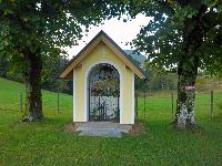 Hochgraser (121 Bildaufrufe)