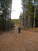 Hochgraser (110 Bildaufrufe)