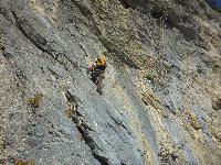Bild 15 (96 Bildaufrufe)