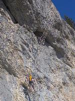 Bild 16 (99 Bildaufrufe)