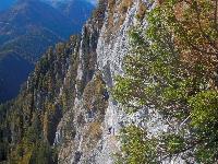Bild 20 (91 Bildaufrufe)
